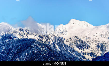 Le cime innevate della Tingle picchi e altri picchi di montagna della costa Mountain Range visto dalla riva del lago di Pitt in Fraser Valley di B Foto Stock