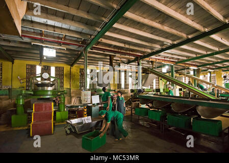 Vista orizzontale della piantagione di tè di lavoratori presso Nuwaraeliya in Sri Lanka. Foto Stock