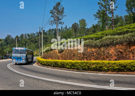 Vista orizzontale di un altamente decorato bus pubblico in Nuwara Eliya, Sri Lanka. Foto Stock