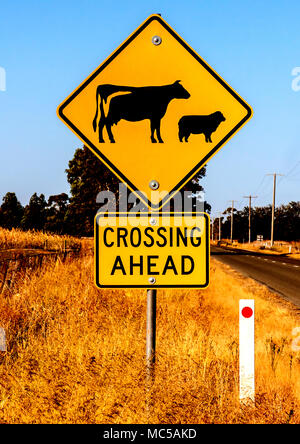 Cartello stradale, animali attraversando avanti sulla strada di campagna in NSW Foto Stock