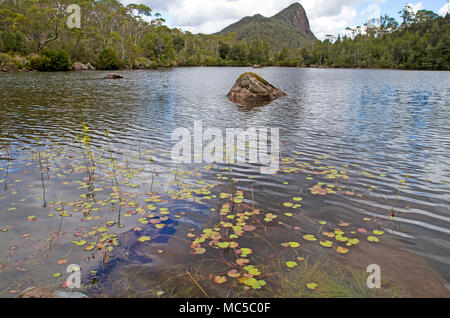 Il lago di prezzo e Mt Pillinger Foto Stock