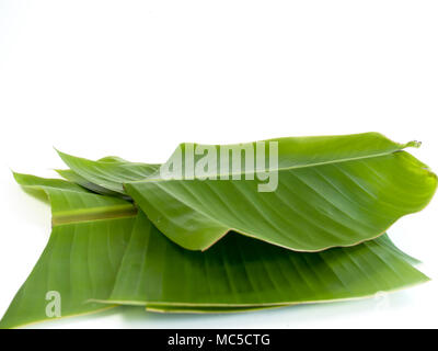 Banana Leaf ,le foglie di banana tree possiamo portare fuori molte applicazioni come ad esempio contenitori per cibo o portare il cibo. Foto Stock