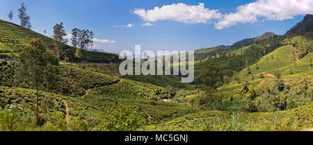 Orizzontale vista panoramica del Nanu-oya River Valley in Nuwara Eliya, Sri Lanka. Foto Stock