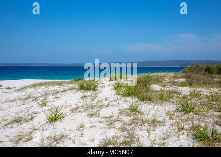 Greenfield spiaggia di dune di sabbia e l'oceano con sabbie bianche, Jervis Bay national park, Nuovo Galles del Sud, Australia Foto Stock