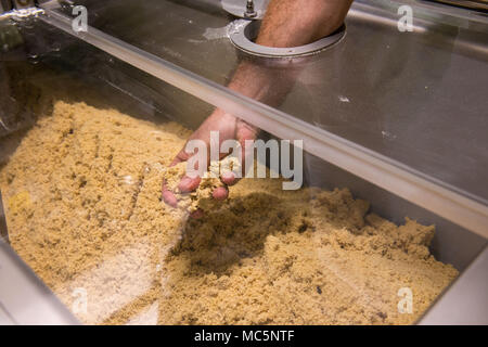 Casteldidone (Cremona). Pastificio Iris Bio. Alcuni dei soci e dipendenti. L'Italia. Foto Stock