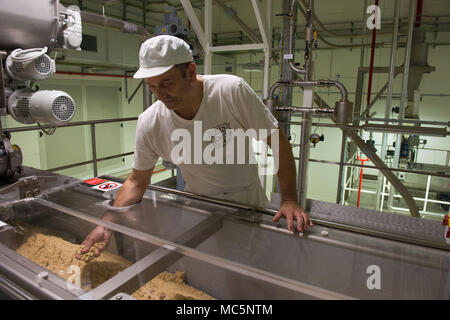 Casteldidone (Cremona). Pastificio Iris Bio. Alcuni dei soci e dipendenti. L'Italia. Foto Stock