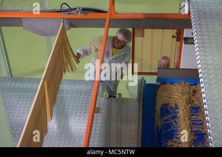 Casteldidone (Cremona). Pastificio Iris Bio. Alcuni dei soci e dipendenti. L'Italia. Foto Stock