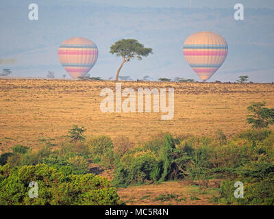 Due modellato luminosamente mongolfiere con abbinamento di livrea apparire bassa sull'orizzonte all'alba al di là di un lone tree in Masai Mara, Kenya, Africa Foto Stock