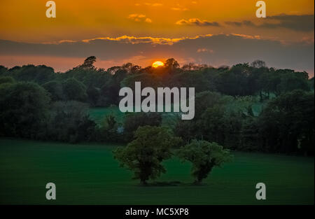 Bel Tramonto sulle ondulate colline del South Downs National Park - REGNO UNITO Foto Stock