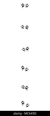Ermellino tracce. Tipica impronta di corto-tailed weasel - icona nera illustrazione su sfondo bianco. Foto Stock