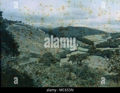 AJAXNETPHOTO. 1911 (circa). MERIONETHSHIRE, Wales, Regno Unito. - Vista EFFETTUATA CON INIZIO AUTOCHROME FILM colore. Fotografo:sconosciuto © IMMAGINE DIGITALE COPYRIGHT VINTAGE AJAX Picture Library Fonte: AJAX FOTO VINTAGE COLLEZIONE REF:(C)AVL ACHM 1911 05 Foto Stock