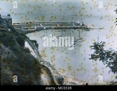 AJAXNETPHOTO. 1911 (circa). MERIONETHSHIRE, Wales, Regno Unito. - Vista EFFETTUATA CON INIZIO AUTOCHROME FILM colore. Fotografo:sconosciuto © IMMAGINE DIGITALE COPYRIGHT VINTAGE AJAX Picture Library Fonte: AJAX FOTO VINTAGE COLLEZIONE REF:(C)AVL ACHM 1911 06 Foto Stock