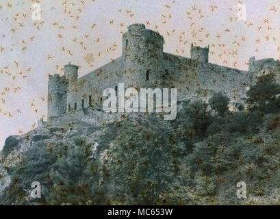 AJAXNETPHOTO. 1911 (circa). MERIONETHSHIRE, Wales, Regno Unito. - Vista EFFETTUATA CON INIZIO AUTOCHROME FILM colore. Fotografo:sconosciuto © IMMAGINE DIGITALE COPYRIGHT VINTAGE AJAX Picture Library Fonte: AJAX FOTO VINTAGE COLLEZIONE REF:(C)AVL ACHM 1911 07 Foto Stock