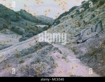 AJAXNETPHOTO. 1911 (circa). MERIONETHSHIRE, Wales, Regno Unito. - Vista EFFETTUATA CON INIZIO AUTOCHROME FILM colore. Fotografo:sconosciuto © IMMAGINE DIGITALE COPYRIGHT VINTAGE AJAX Picture Library Fonte: AJAX FOTO VINTAGE COLLEZIONE REF:(C)AVL ACHM 1911 09 Foto Stock