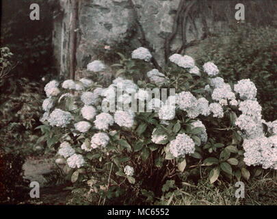 AJAXNETPHOTO. 1911 (circa). MERIONETHSHIRE, Wales, Regno Unito. - Vista EFFETTUATA CON INIZIO AUTOCHROME FILM colore. Fotografo:sconosciuto © IMMAGINE DIGITALE COPYRIGHT VINTAGE AJAX Picture Library Fonte: AJAX FOTO VINTAGE COLLEZIONE REF:(C)AVL ACHM 1911 33 Foto Stock