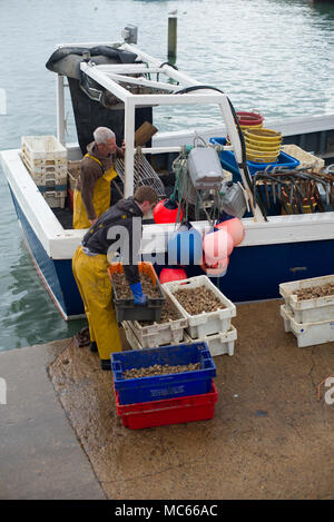 Porto di pesca a Folkestone nel Kent Foto Stock