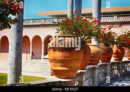 Grandi vasi di terracotta nel giardino del Ringling Museum of Art di  Sarasota FL, Stati Uniti d'America Foto stock - Alamy