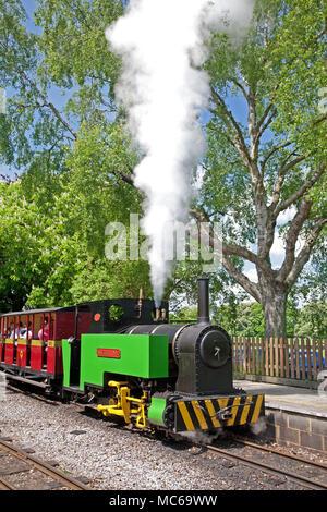 Ex South African 0-4-0T Sezela no.4 attende alle pagine Park Station sulla Leighton Buzzard ferrovia a scartamento ridotto, Bedfordshire, Regno Unito. Foto Stock