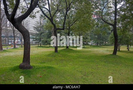 Alberi in città parco adiacente di Fujian South Road in inverno mattina dopo una leggera caduta di neve Foto Stock