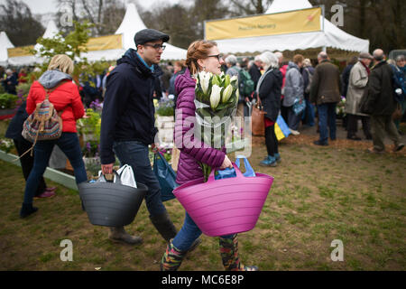 Coloro che portano le piante e le benne durante il primo giorno di RHS Flower Show Cardiff, che corre a domenica 15 aprile a Bute Park, Castello di Cardiff, Cardiff, Galles. Foto Stock