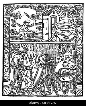 Mesi - Marzo - PESCI & ARIES xilografia raffigurante operai riparazione di recinzioni e fossati. La parte superiore è roundel zodiaco immagine per pesci, con tre pesci, in luogo del tradizionale due; il fondo roundel è l'immagine dell'Ariete, la RAM. Da Le concessione Kalendrier & compost des Bergiers avecq leur Astrologie, circa 1500. Foto Stock