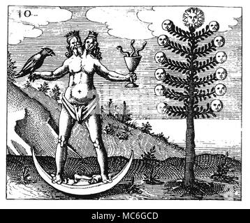 Alchimia - ALBERO DELLA LUNA - Incisione ermafroditi da Johann Daniel Mylius, Philosophia Reformata, 1622. La struttura ad albero della Luna o l'Arbor Argentum, e il fatto che la ermafroditi s tands su una falce di luna, indica che questa fase del processo alchemico segna la perfezione di ciò che è chiamato il primo argento. La figura ermafroditi, dei fusi il re e la regina indica che il processo non è ancora completo, come l'integrazione non ha avuto luogo. Foto Stock