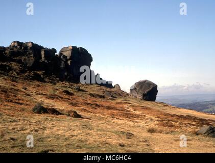 Latte di mucca e di rocce di vitello a Ilkley Moor, West Yorkshire Foto Stock