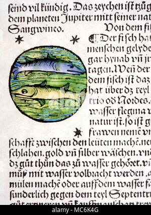 Segni zodiacali. Pesci Roundel raffigurante la coppia di pesci di pesci, dalla fine del XV secolo libro in tedesco di astrologia Foto Stock