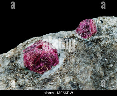 Raccolta campione minerale di un rubino o corindone rosso nella matrice di close-up su sfondo nero Foto Stock