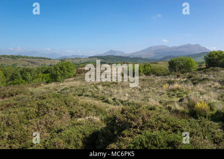 Uno splendido scenario a Gwaith Powdr riserva naturale, Penrhyndeudraeth, il Galles del Nord, una bella giornata di primavera. Foto Stock