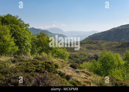 Uno splendido scenario a Gwaith Powdr riserva naturale, Penrhyndeudraeth, il Galles del Nord, una bella giornata di primavera. Foto Stock