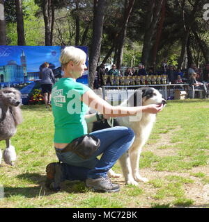 Presso la Mostra canina Foto Stock