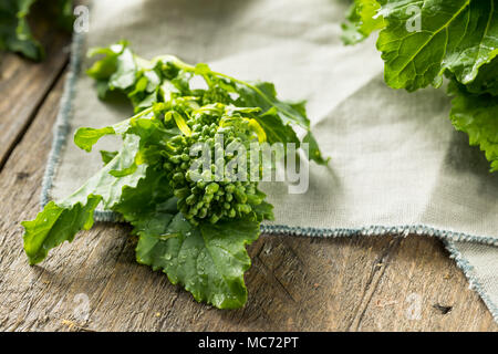 Materie organiche verde Broccoli Rabe pronto per cucinare Foto Stock