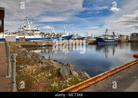 Inverness registrato trawler Artemis INS564 ormeggiato con altre piccole imbarcazioni da pesca, a Fraserburgh Porto. Reti da traino pelagiche ormeggiata in background. Foto Stock