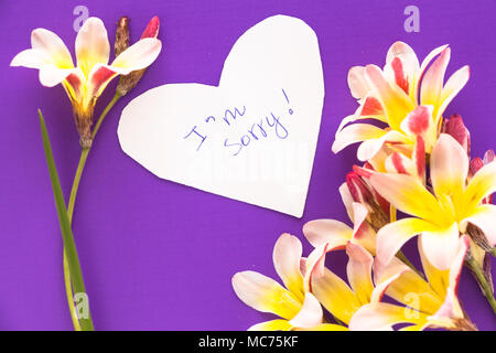 Nota in forma di cuore con le parole "mi dispiace!" con fiori viola sulla superficie. Foto Stock