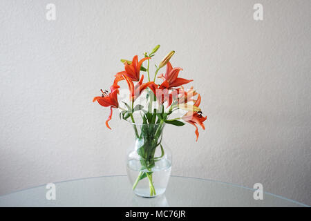 Lilies in vaso Foto Stock