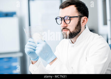 Maschio assistente di laboratorio lavora con i batteri in piastra di petri in reparto batteriologica Foto Stock