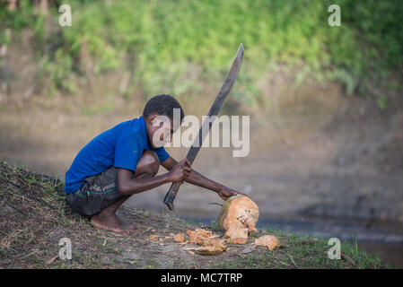 Un ragazzo apertura di una noce di cocco con un grande machete, Swagup Village, Superiore Sepik, Papua Nuova Guinea Foto Stock