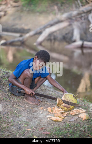 Un ragazzo apertura di una noce di cocco con un grande machete, Swagup Village, Superiore Sepik, Papua Nuova Guinea Foto Stock