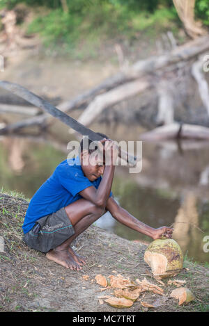 Un ragazzo apertura di una noce di cocco con un grande machete, Swagup Village, Superiore Sepik, Papua Nuova Guinea Foto Stock