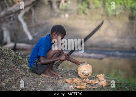 Un ragazzo apertura di una noce di cocco con un grande machete, Swagup Village, Superiore Sepik, Papua Nuova Guinea Foto Stock