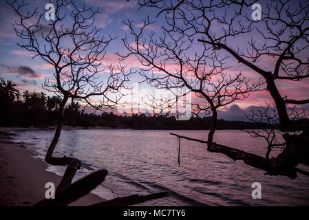 Silhouette di alberi al tramonto sulla cartolina-stile spiaggia sabbiosa di Mushu Isola, Papua Nuova Guinea Foto Stock