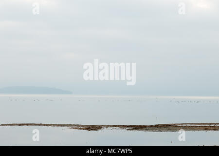 Vista minimalista del Trasimeno lake shore all'alba con tonalità morbide Foto Stock