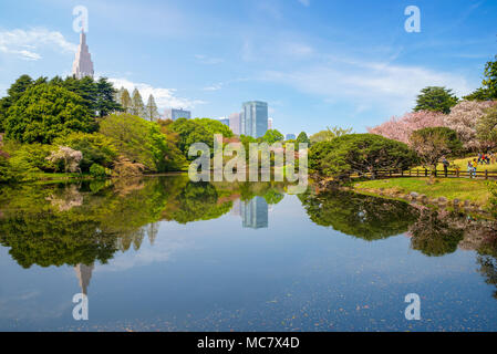 Paesaggio di Shinjuku Gyoen con fiore di ciliegio Foto Stock