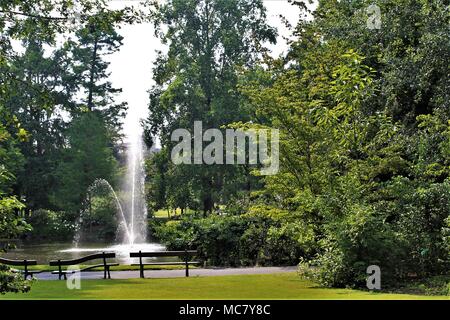 Jardin des Plantes (giardino botanico) di Nantes, Loire Atlantique, regione Pays de la Loire, Francia Foto Stock