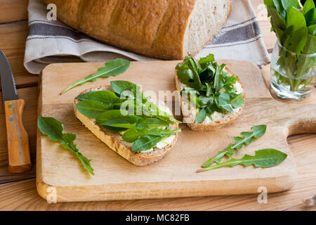 Due fette di pane di pasta acida con il burro e di foglie fresche di dente di leone Foto Stock