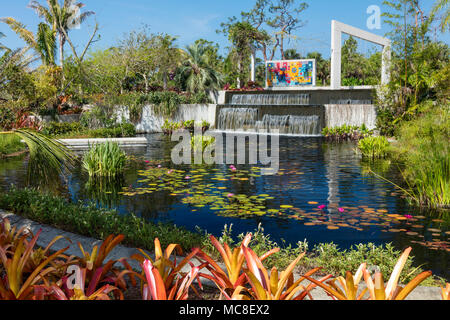 Nymphaeaceae - ninfee in stagno a Napoli Giardini Botanici, Naples, Florida, Stati Uniti d'America Foto Stock