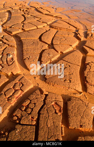 Schema naturale, texture, astratta e background in natura Foto Stock