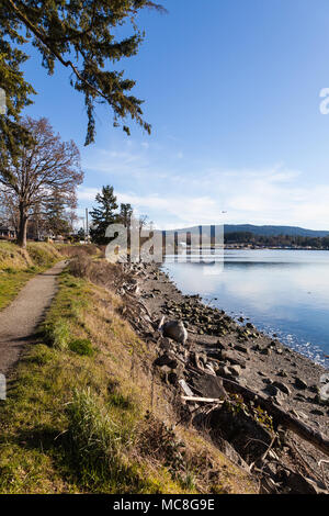 Scena lungo il sentiero costiero di Patricia baia vicino a Sidney, British Columbia, Canada Foto Stock