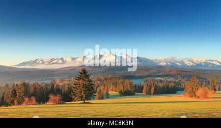 Il pittoresco mattina in Tatra. Valle Verde sulla montagna innevata sullo sfondo. Sole splende in corrispondenza di alberi di Natale a Tatra pedemontana. Splendido paesaggio estivo Foto Stock